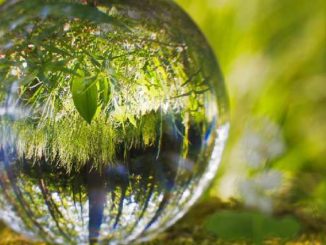 Bewusstsein-Welten-Wandel-ball
