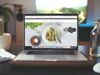 ayurveda-abo-ausbildung-neutzler-laptop