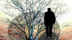 Demenz aus der Sicht einer Psychologin mann uhr baum tree