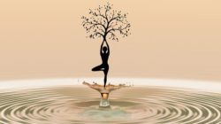 Was die Quantenphysik mit spirituellem Heilen zu tun hat frau baum wasser dance