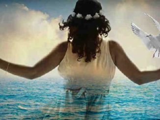 frau-fenster-meer-taube-woman