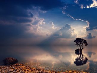 mystisch-heilung-baum-wasser-natur-sunset