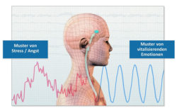 spiegel-innes-system-HeartMath-Institute