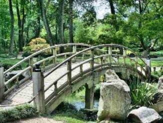 fortschritt-bruecke-natur-bridge
