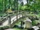 fortschritt-bruecke-natur-bridge