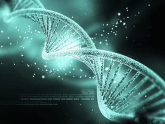 jana-stapel-gene