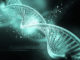 jana-stapel-gene