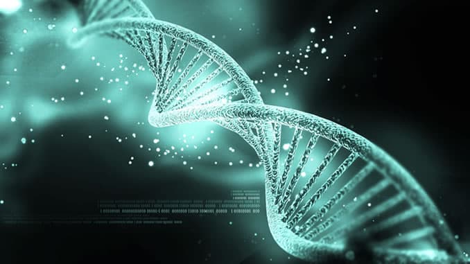 jana-stapel-gene