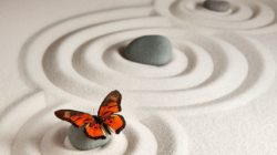 spirituelles Heilen sinn des Lebens steine schmetterling zen