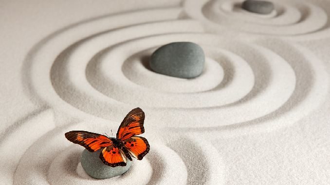 sinn-des-Lebens-steine-schmetterling-zen