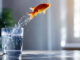 Eigensinn als Symbolbild: Ein Goldfisch springt aus einem Wasserglas