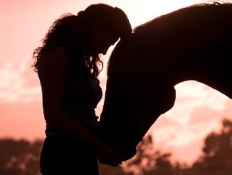 sonnenuntergang-frau-pferd-innig-horse
