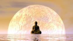 Workshops Buddha wasser planet