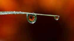 tropfen auge drops