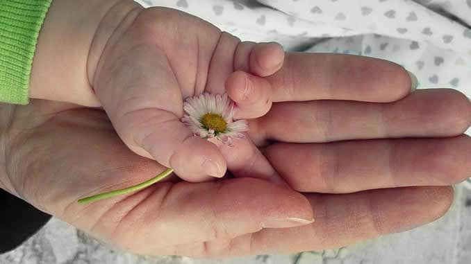 kind-hand-blume-hands
