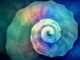spirale-snail