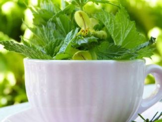 wildkraeuter-ayurveda-tasse-cup