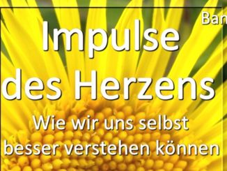 Der Weg des Herzens Björn Geitmann Buch Impulse des Herzens