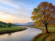 Baum mit herbstlichen Blättern an einem Fluss im Abendlicht