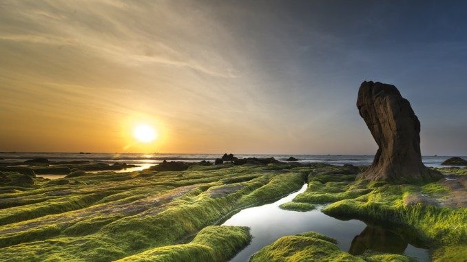 Fremdes macht Angst Björn Geitmann coast