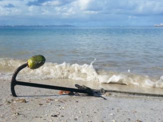 Gefühle sind unser Anker sea