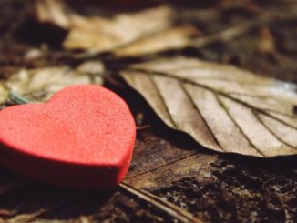 Heike Pranama Wagner Hab und Gut verlieren heart