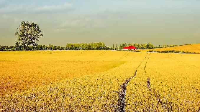 feld saat village