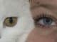 frau katze eyes