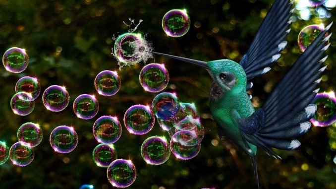 Björn Geitmann Verhalten und Sein soap-bubbles