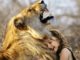 kind loewe angst liebe lion