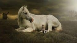 Intuitive Tierkommunikation Zurück zu deinen Wurzeln kind pferd hund horse