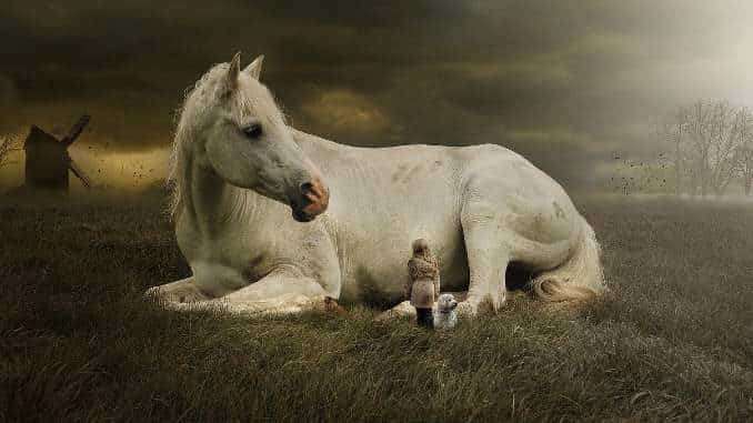 kind pferd hund horse