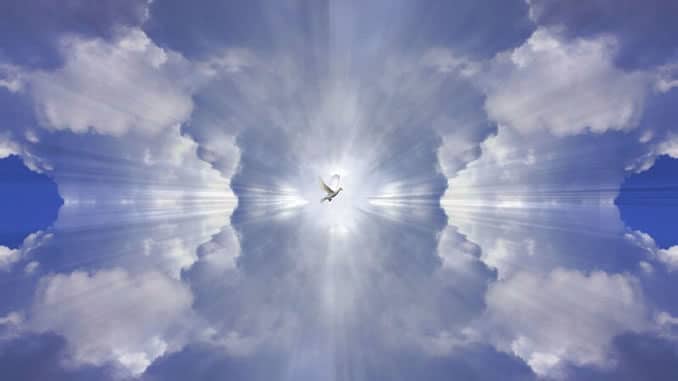 wolken-taube-licht