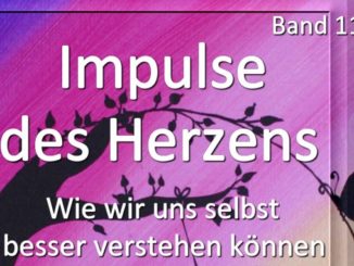 Impulse des Herzens Band 11 Björn Geitmann Buch