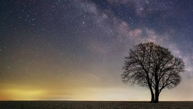 Yvonne Böhm Sternensaat night-sky