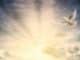 himmel licht taube light