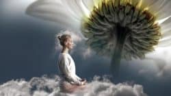 Die Sinne als Tor zur Welt frau natur sinne meditation
