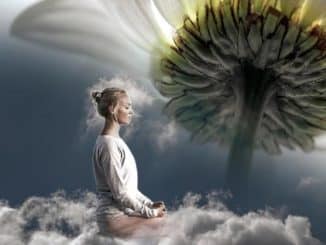 frau natur sinne meditation