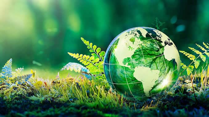 fred hageneder Gaia fern Romolo Tavani sh1944566047