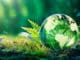 fred hageneder Gaia fern Romolo Tavani sh1944566047