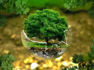 glas erde environmental protection