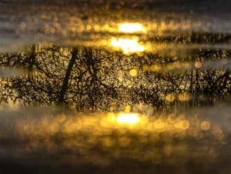 licht puddle of water