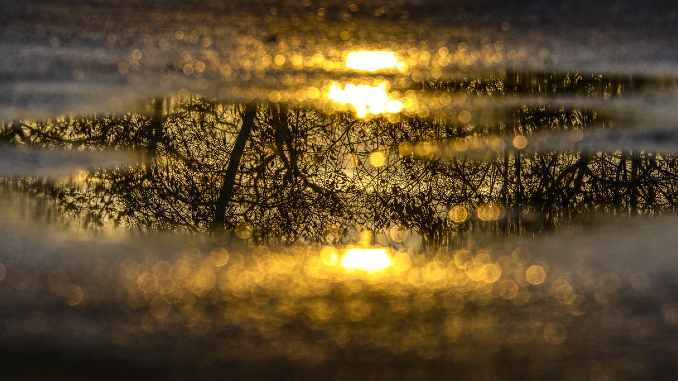 licht puddle of water