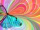 schmetterling abstrakt