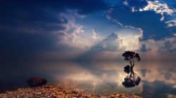 spiegelung baum see sunset