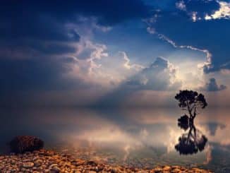 spiegelung baum see sunset