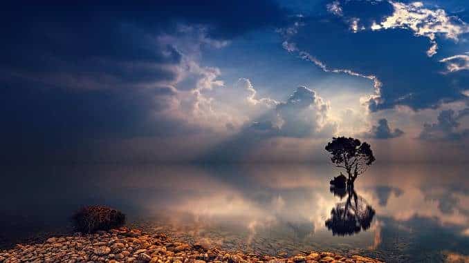 spiegelung baum see sunset