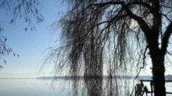 Christina Link Einheit auf höchster Ebene starnberger lake