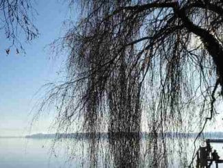 starnberger lake