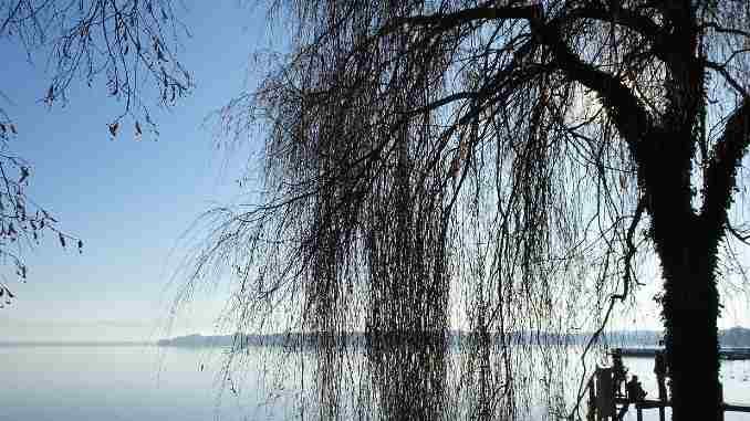 starnberger lake